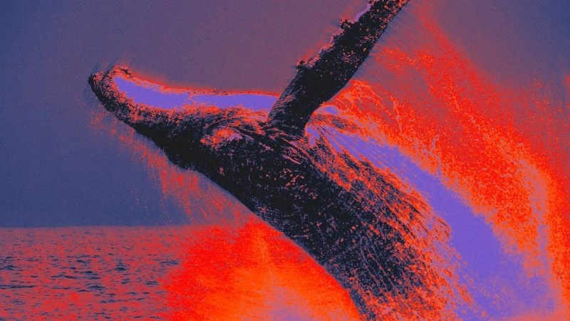 A whale bought 50,706 ETH worth $111.62 million in a single transaction — one year after selling the same position.