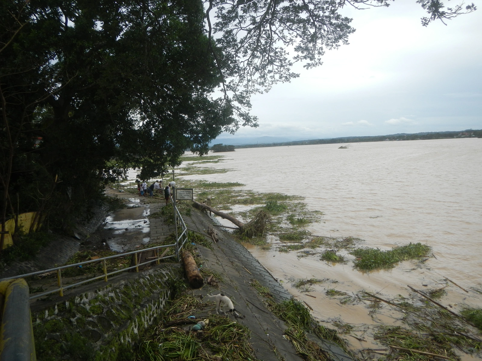 The CFTC sued New York to block a state crackdown on prediction markets. 38 attorneys general backed Massachusetts in the Kalshi case. And Brazil just banned Polymarket, Kalshi, and every other prediction platform outright.